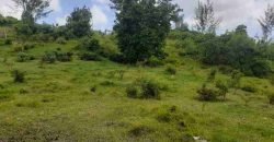 Drax Hall Jump, St. George – Land for Sale
