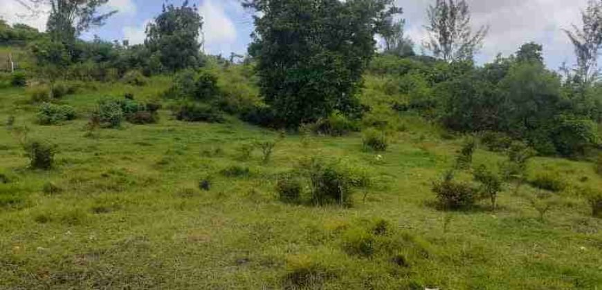 Drax Hall Jump, St. George – Land for Sale