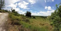 Drax Hall Jump, St. George – Land for Sale