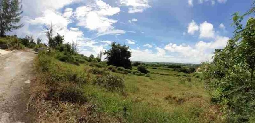 Drax Hall Jump, St. George – Land for Sale
