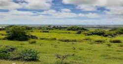 Drax Hall Jump, St. George – Land for Sale