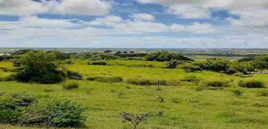 Drax Hall Jump, St. George – Land for Sale