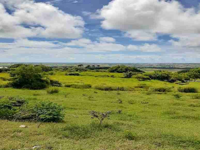 Drax Hall Jump, St. George – Land for Sale