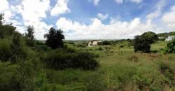 Drax Hall Jump, St. George – Land for Sale