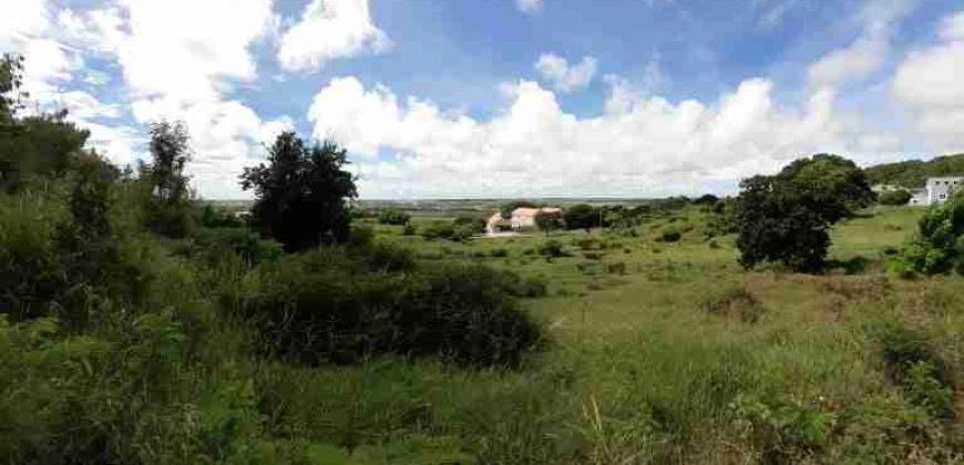 Drax Hall Jump, St. George – Land for Sale