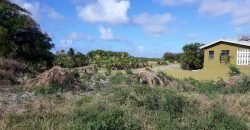 Sunny Meadows, St Philip – Land for Sale