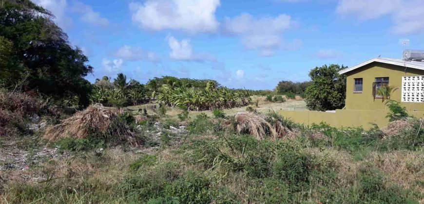 Sunny Meadows, St Philip – Land for Sale