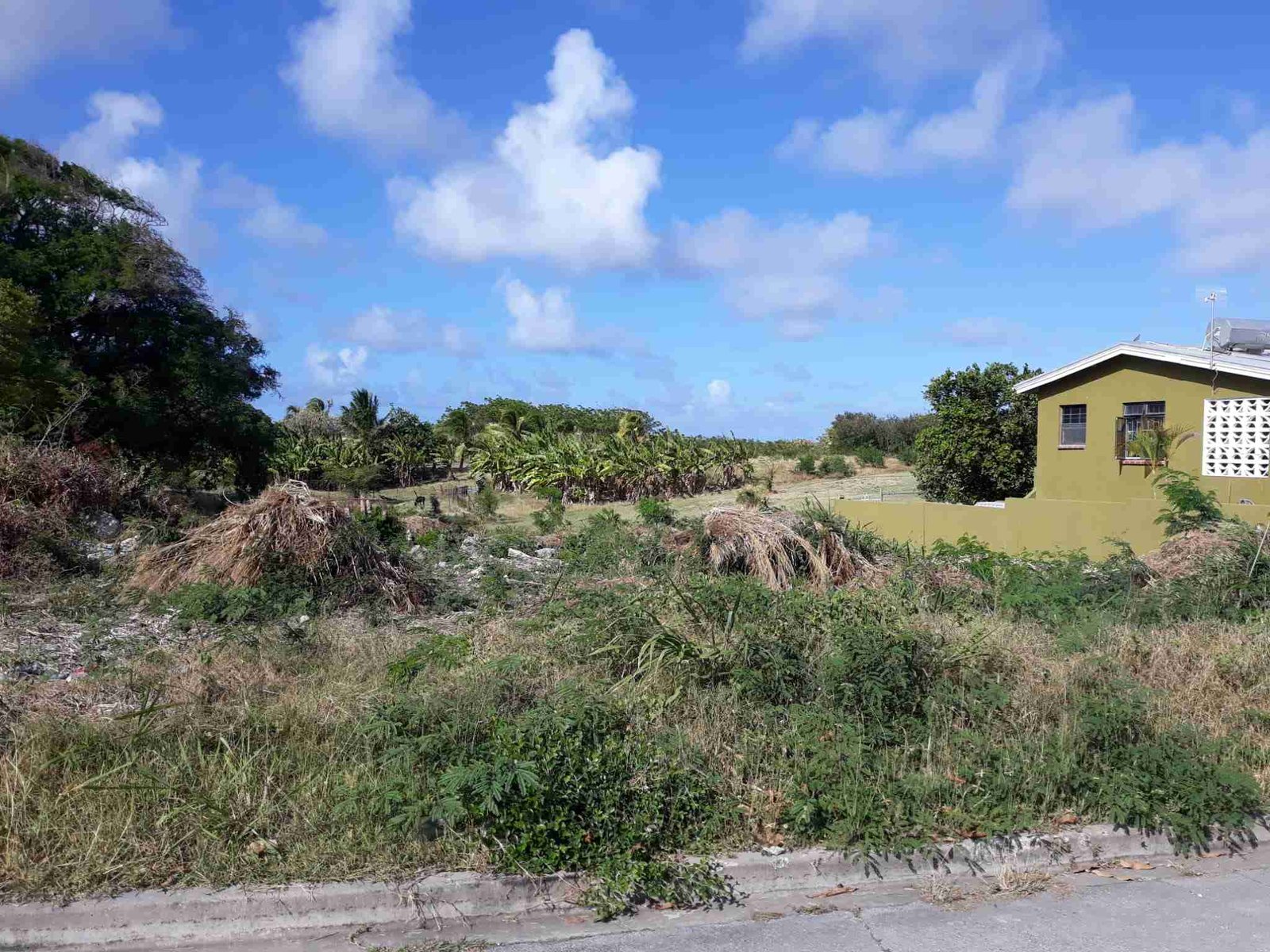 Sunny Meadows, St Philip – Land for Sale
