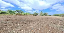 Church Village, St. Philip – Land for Sale