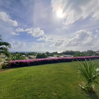 villa for sale in barbados backlawn