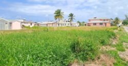 Long Bay, St. Philip | Land for Sale in Barbados