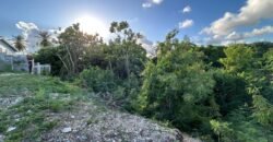 Niles Tenantry, St. Peter | Land for Sale in Barbados