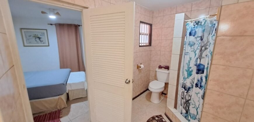 Inch Marlow, Christ Church | Oceanfront House for Sale in Barbados