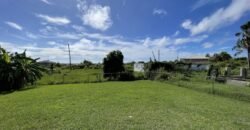 79 Palm Crescent, St. Philip | House for sale Barbados