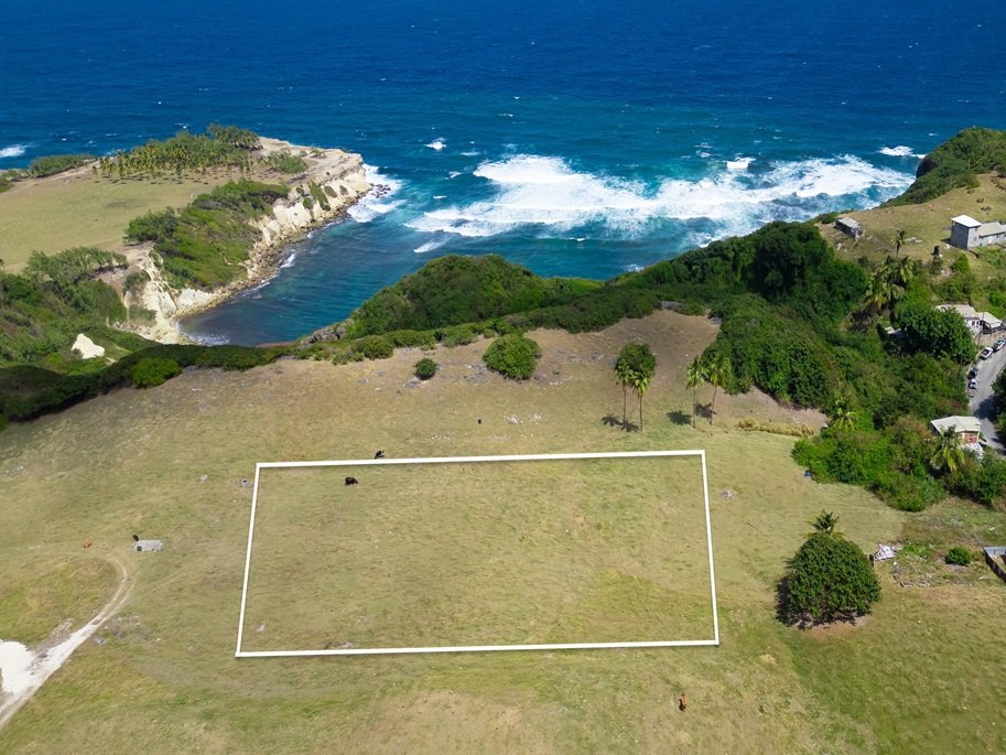 Risk, St Lucy | Land for Sale in Barbados