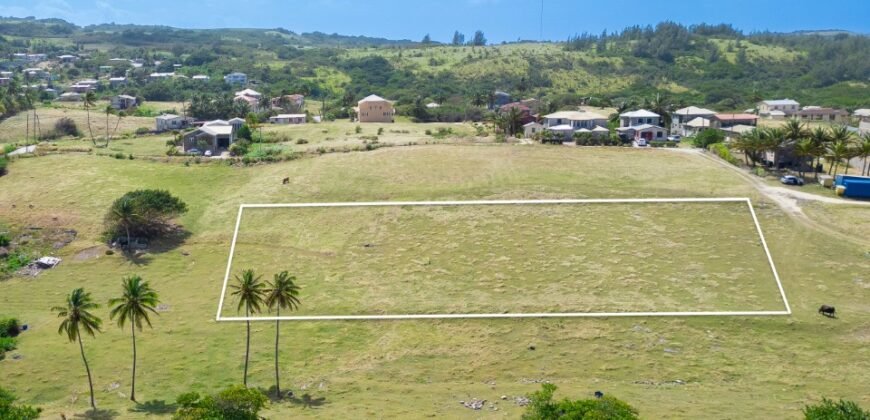 Risk, St Lucy | Land for Sale in Barbados