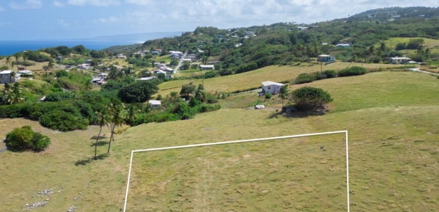 Risk, St Lucy | Land for Sale in Barbados