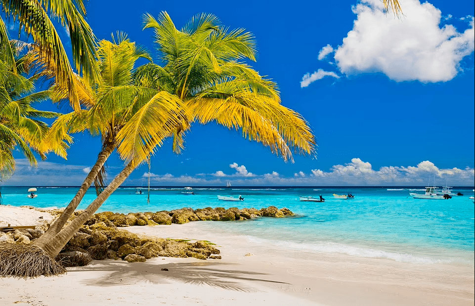 Jade Real Estate - Worthing Beach